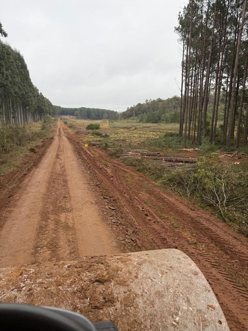 Caminería forestal: conformación y mantenimiento de caminos en Uruguay